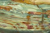 Gary Green Jasper (Larsonite) Bog Wood Slab - Oregon #302905-1